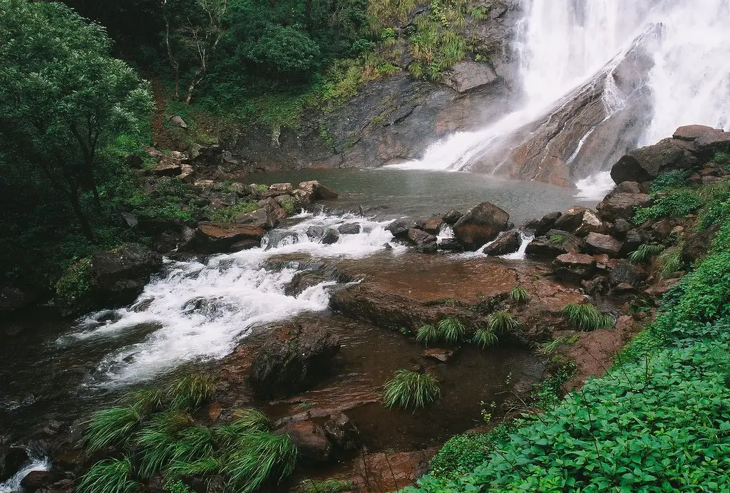 Chikmagalur Escape