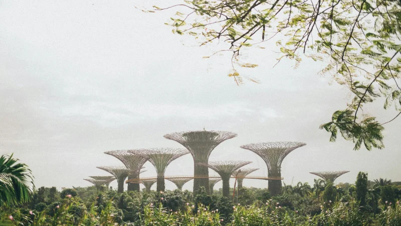 SINGAPORE
