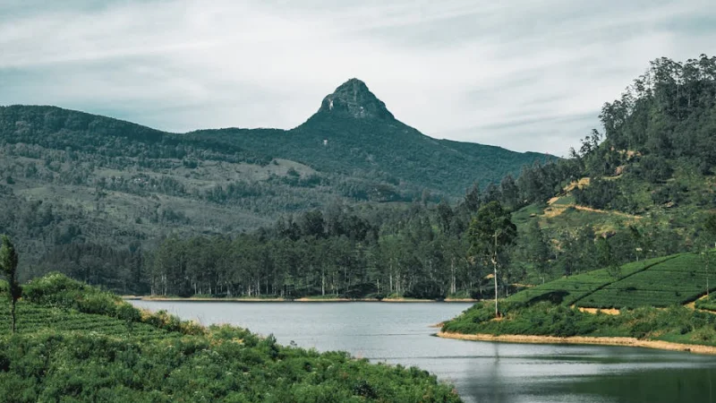 SRILANKA