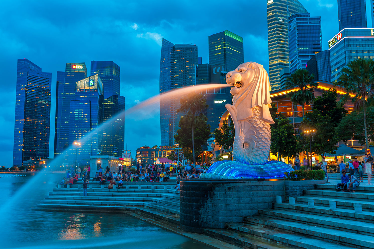 SINGAPORE DREAM VACATION