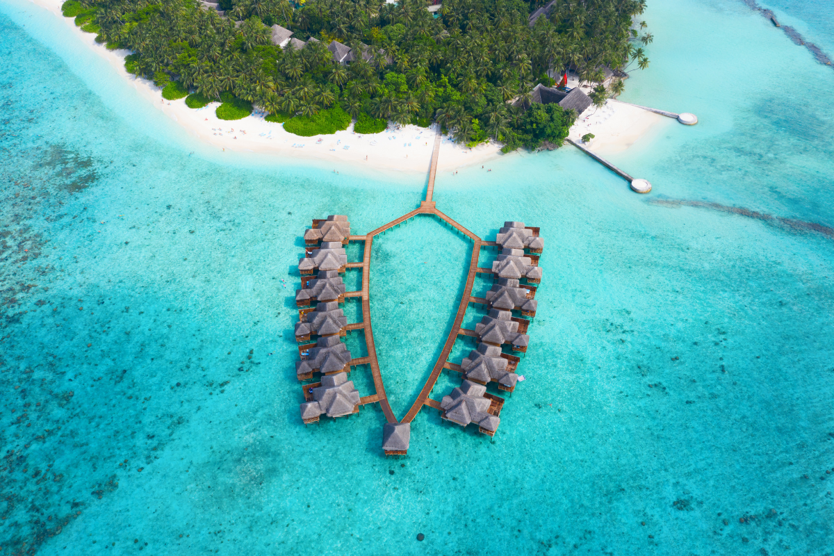 t2i holidays